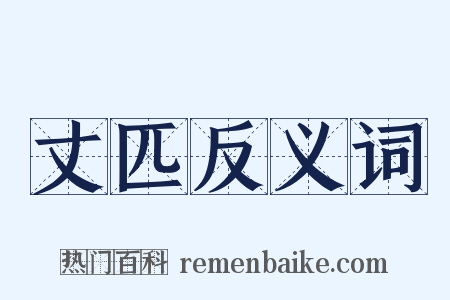 丈匹反义词是什么意思的图片